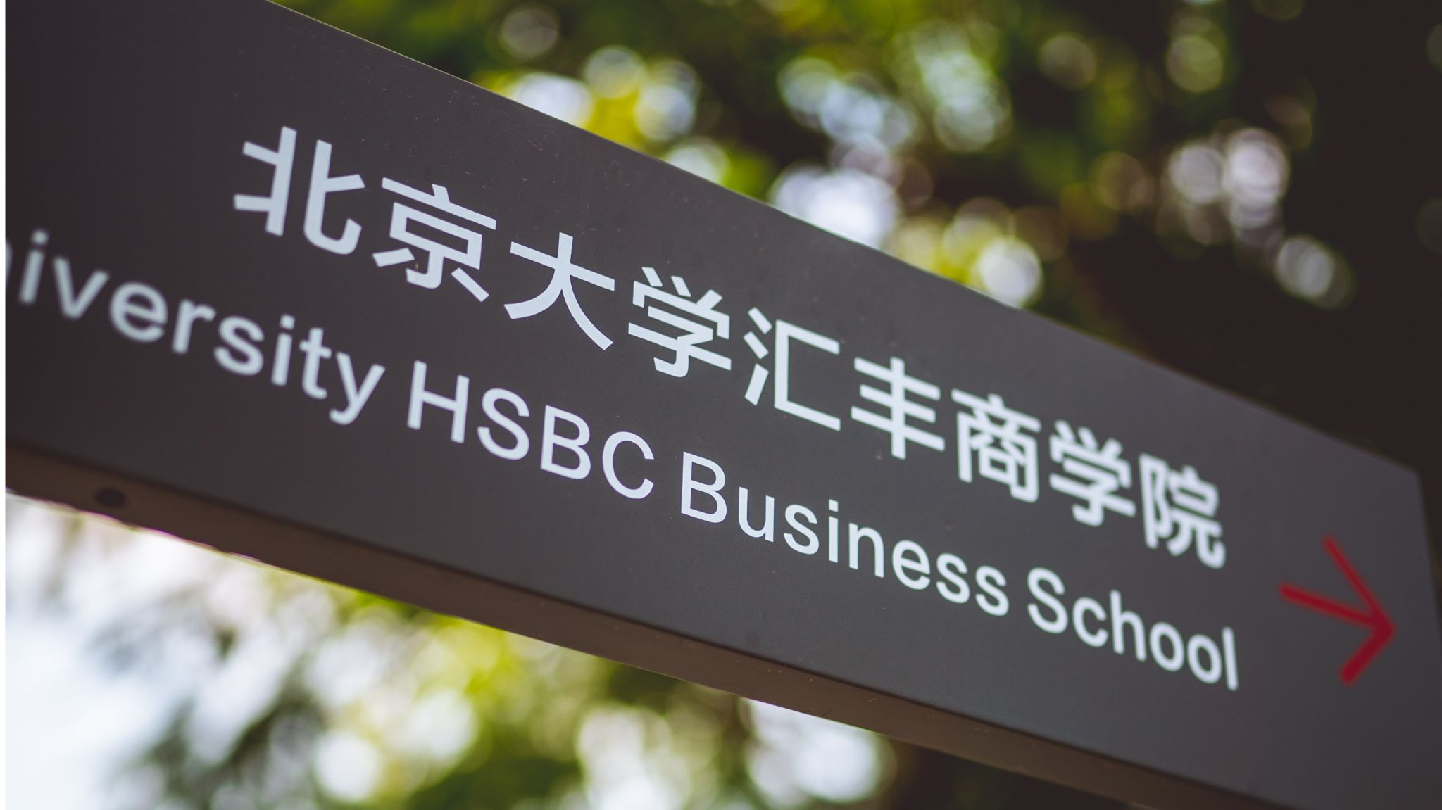 校友网络