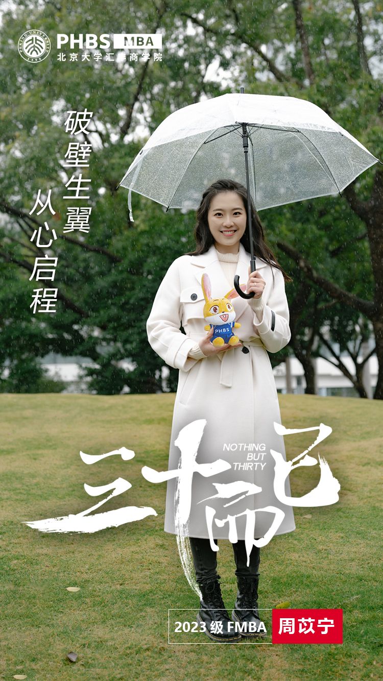 项目概况