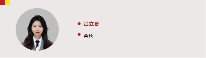 项目概况