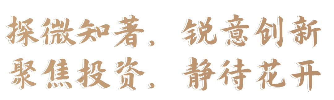 课程和师资