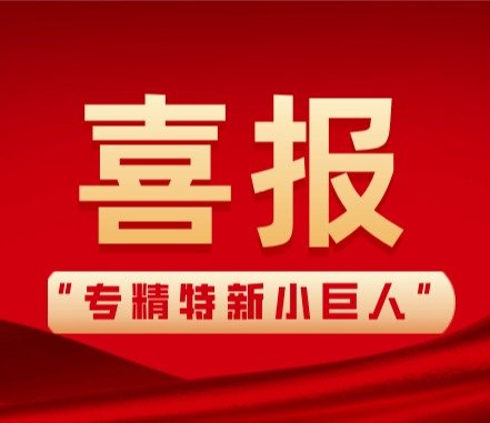 是坚韧的女性