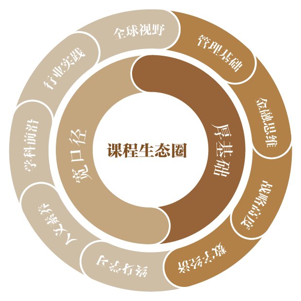 项目概况